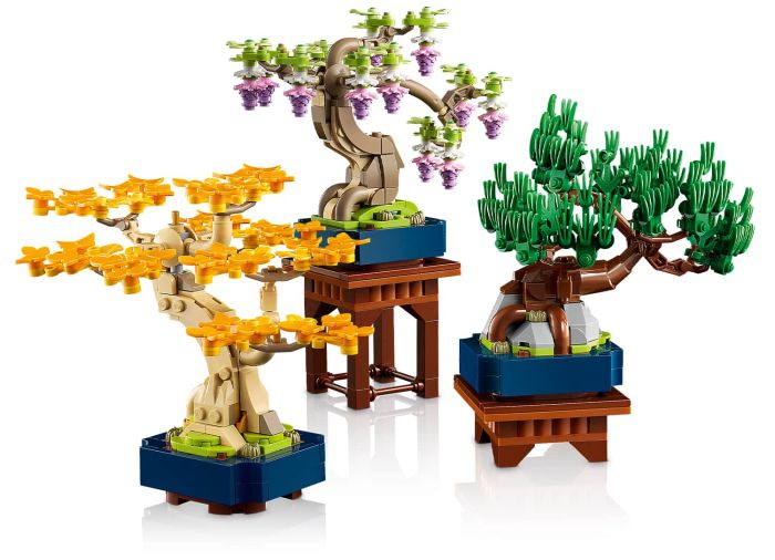 Mini Bonsai Trees