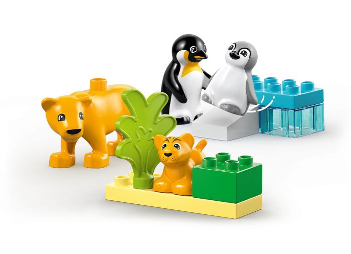 Wild Animal Families: Penguins & Lions