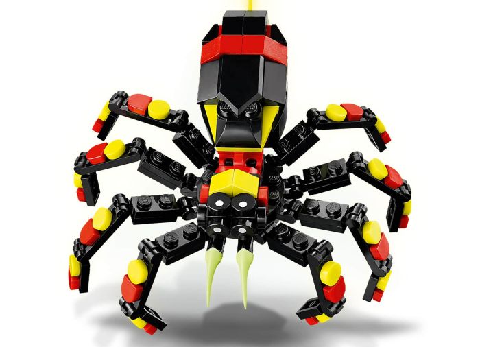Wild Animals: Surprising Spider