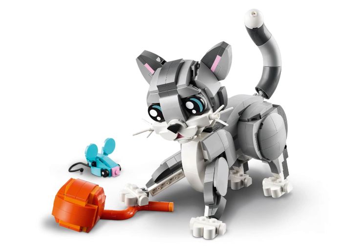 Playful Cat