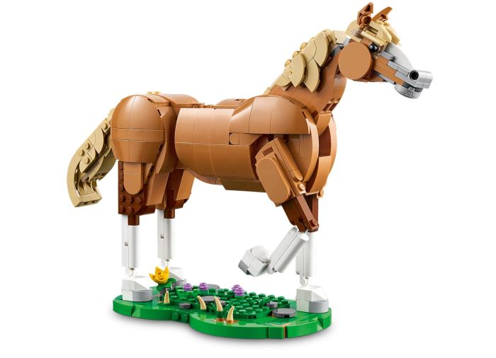 Beautiful Horse