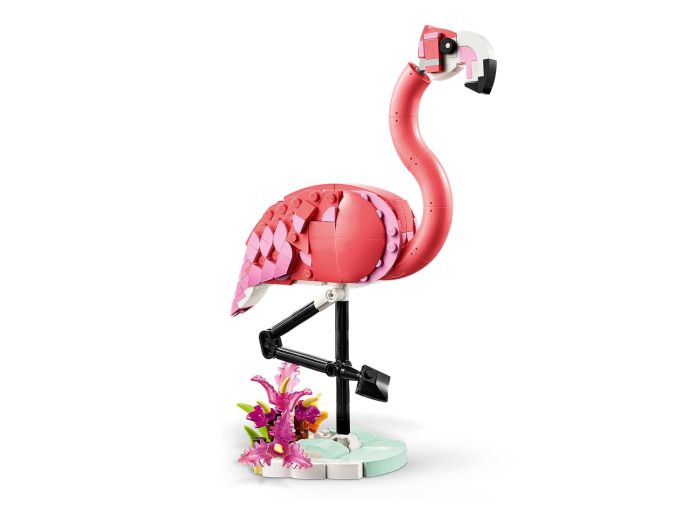 Wild Animals: Pink Flamingo