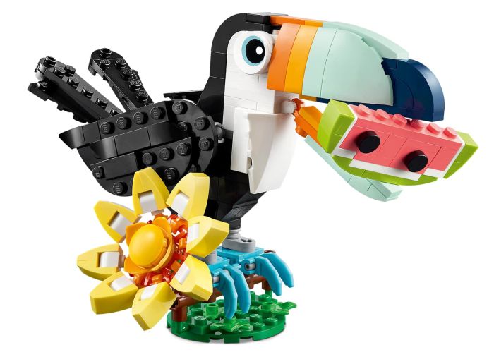 Wild Animals: Tropical Toucan