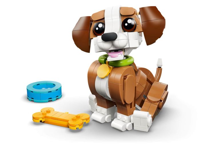 Cute Animals: Playful Puppy Dog