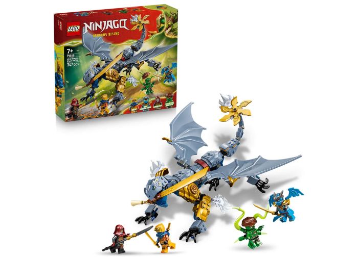 Ninja Dragon Riyu's Battle