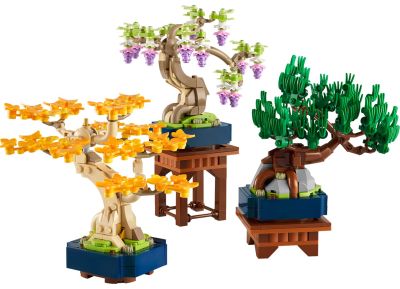 Mini Bonsai Trees