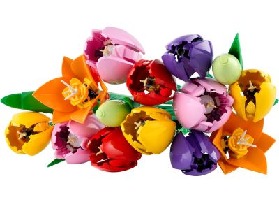 Tulip Bouquet