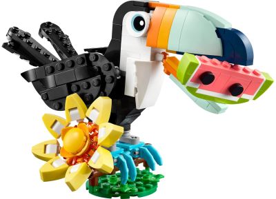 Wild Animals: Tropical Toucan