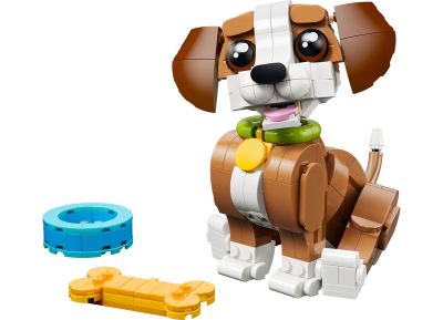 Cute Animals: Playful Puppy Dog