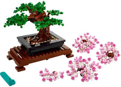 Bonsai Tree