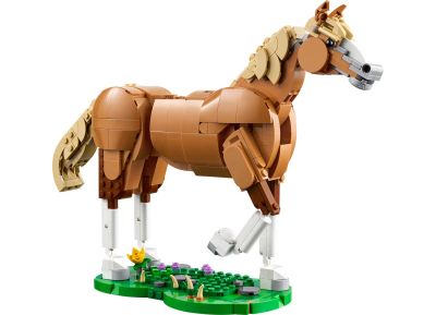 Beautiful Horse