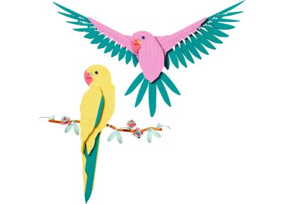 The Fauna Collection – Macaw Parrots