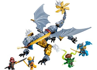 Ninja Dragon Riyu's Battle